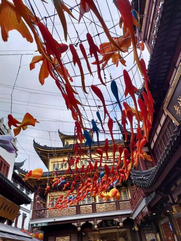 4-Hour Private Shanghai Shopping Tour with Local Expert - Meet Sunny Amazing Tours and turn your wish list into a route