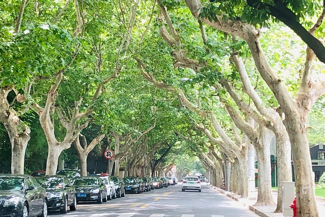 4-Hour Private Shanghai Walking Tour of Former French Concession - Sinan Mansions And Nongtang Lanes: Where You See Laundry And Real Routine