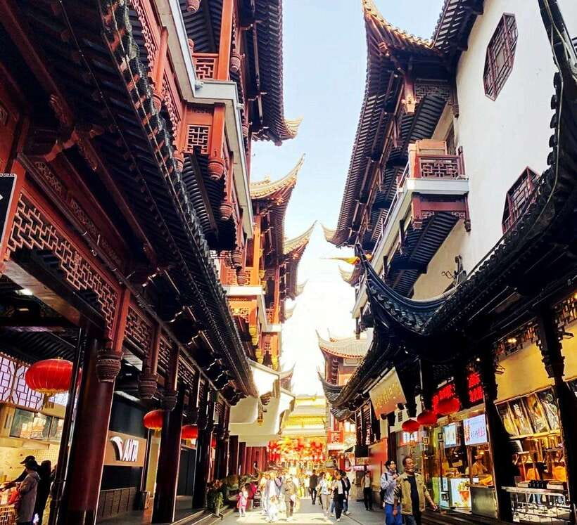4-Hour Shanghai Best Garden and Temple Tour with Tea Tasting - Tea ceremony and tasting: how to make the most of it