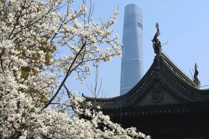 4-Hr Shanghai Layover Tour: Maglev, Wet Market, Food, Landmarks - Price and Value: What the $98 Actually Buys You