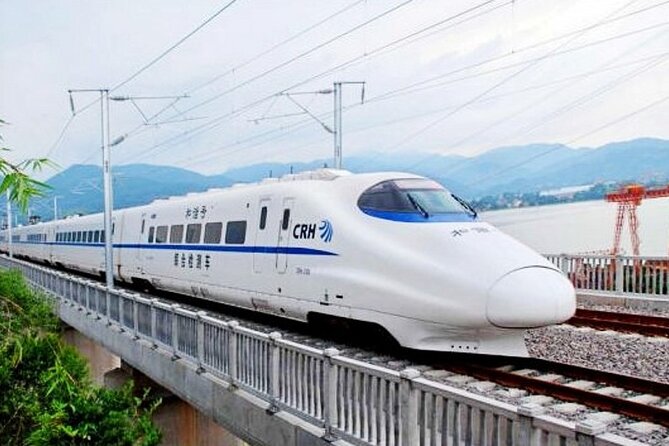 Beijing Great Wall Private Day Tour from Shanghai by Bullet Train - Beijing meet-up: your guide’s job is more than facts