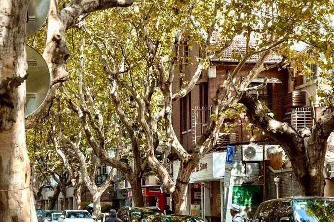 Charming Shanghai French Concession Mini-group Walking Tour - Price, Pace, and Real Value for $39