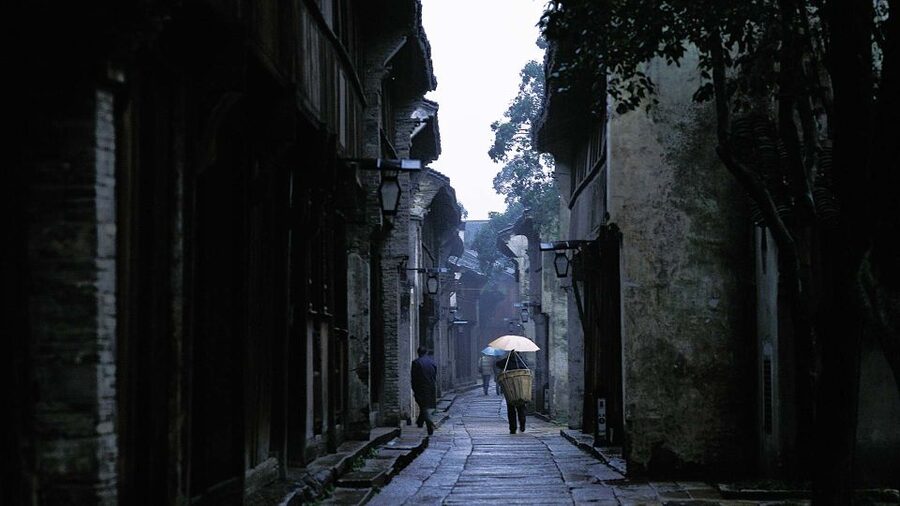 Delve into Wuzhen Water Town: Private Tour from Shanghai - Lunch in Wuzhen: More Than a Meal Break