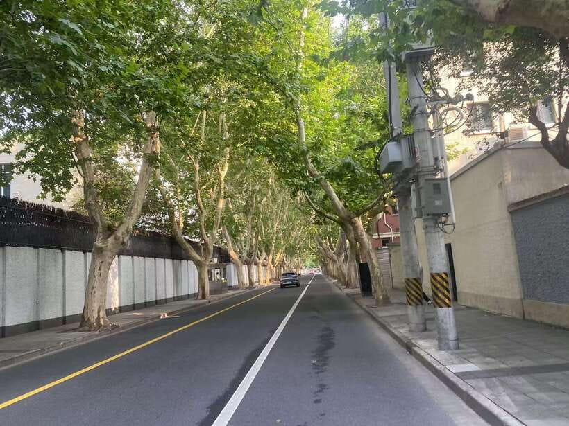 Explore Shanghai's Old Town & Suzhou River by Bike - Art Deco district blocks: 1920s–1930s architecture you can actually reach