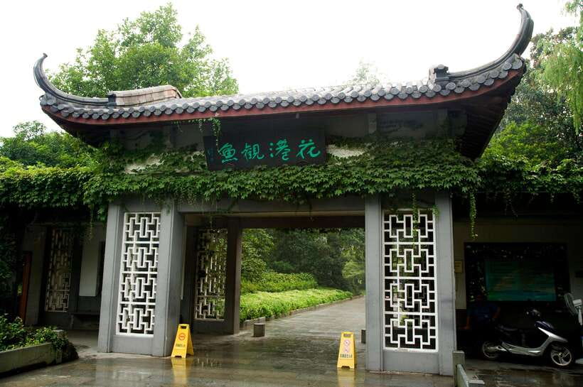 From Shanghai: Hangzhou Private Day Trip by Bullet Train - Key Things to Know Before You Go