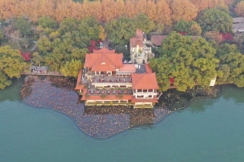 From Shanghai: Hangzhou Private Day Trip by Bullet Train - Who Should Book This One-Day Hangzhou Trip?