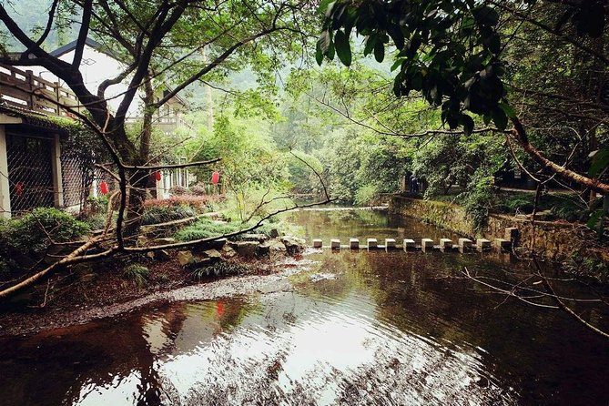 Hangzhou Jiuxi and Hupao Spring Hiking Day Trip from Shanghai by Bullet Train - Longjing Tea Fields Lunch: Dragon Well Tea Plus a Tea-Mountain Walk