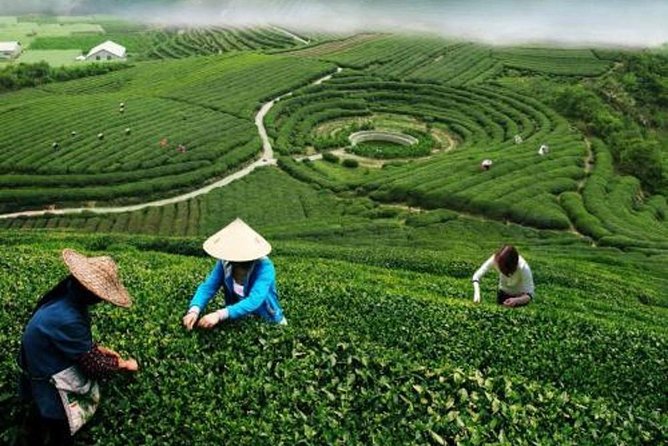 Hangzhou Private Customized Day Trip from Shanghai by Bullet Train - Hefang Street: Southern Song-Era Style, Snacks, and Craft Window Shopping