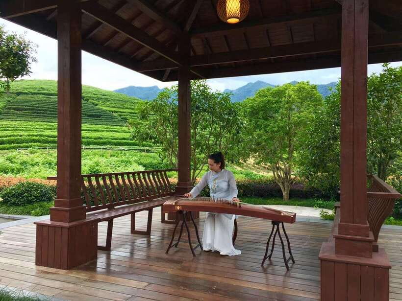 Hangzhou Private Day Trip by Bullet Train from Shanghai - Key things you’ll notice on this Hangzhou day