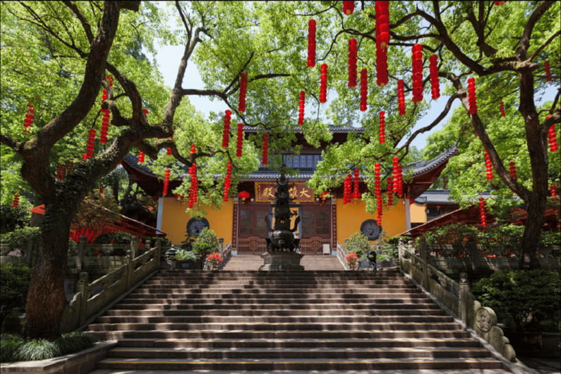 Hangzhou Private Day Trip by Bullet Train from Shanghai - Who This Private Tour Is Best For