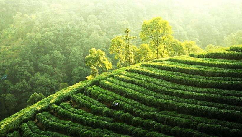Hangzhou Private Day Trip by Bullet Train from Shanghai - Getting Oriented in Hangzhou: Your First Sight Is West Lake