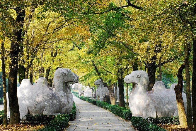 Private Flexible Nanjing City Day Trip from Shanghai by Bullet Train - Why this Nanjing day trip feels worth it