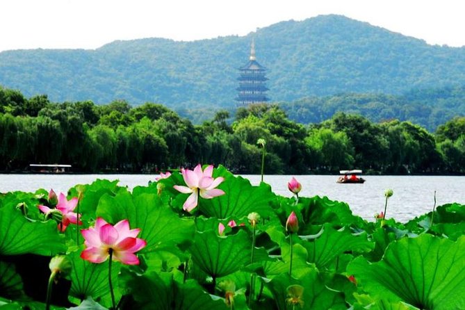 Private Hangzhou Day Tour from Shanghai by Bullet Train - Key things to know before you go