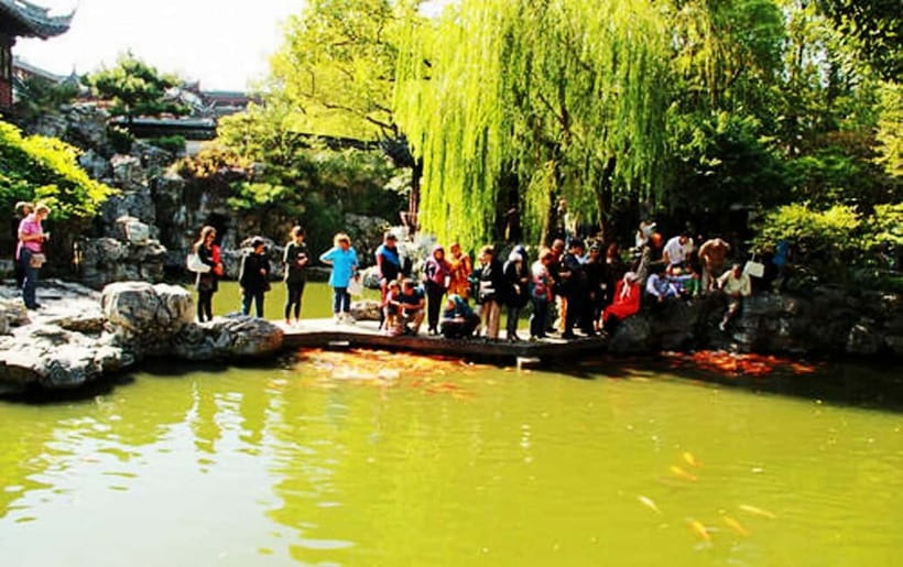 Private Shanghai Full Day City Tour with Old &New Highlights - French Concession: parks, locals, and artsy lanes