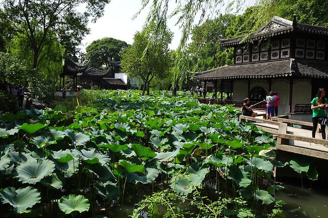 Private Suzhou Day Tour from Shanghai to Classical Gardens and Tongli Water Town - Timing and pacing: how to handle an 8–9 hour day