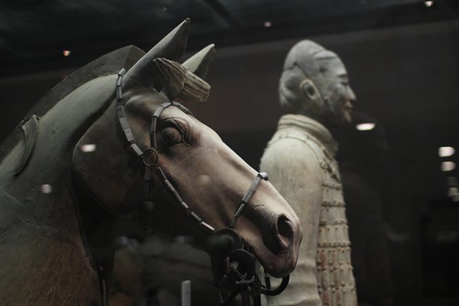 Private Tour: 2-Day/3-Day Xi'an Round-Trip from Shanghai by Air - Muslim Quarter Walking Tour: Street-Level Xi’an, Not Just Sights