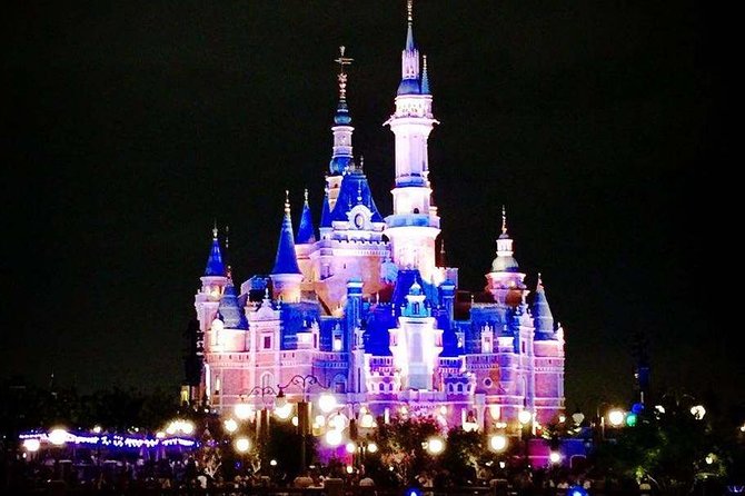 Private Transfer between Shanghai Disneyland and City Hotel - The Driver and Language Factor (Basic English, Real Solutions)