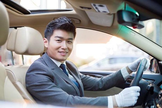 private transfer from Wusongkou CruisePort to Disneyland and back - Early driver and vehicle details: no car guessing, no surprises