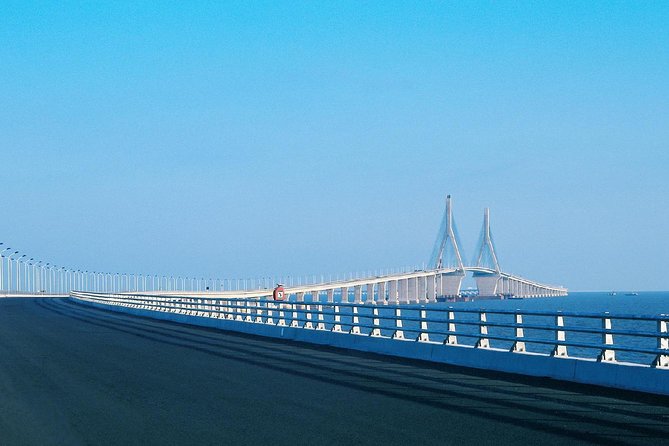 Private Transfer to Shanghai Donghai Bridge and Yangshan Port - Key highlights to look for