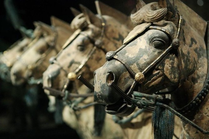 Quick Tour to Xi'an Terracotta Warriors from Shanghai by Air in One Day - The real value: flying in, touring smart, flying out