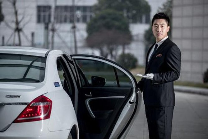 Shanghai Baoshan Cruise Port to Pudong Airport :Private transfer Service - Price and Value: Why $46 for a Private One-Way Ride Can Be Worth It