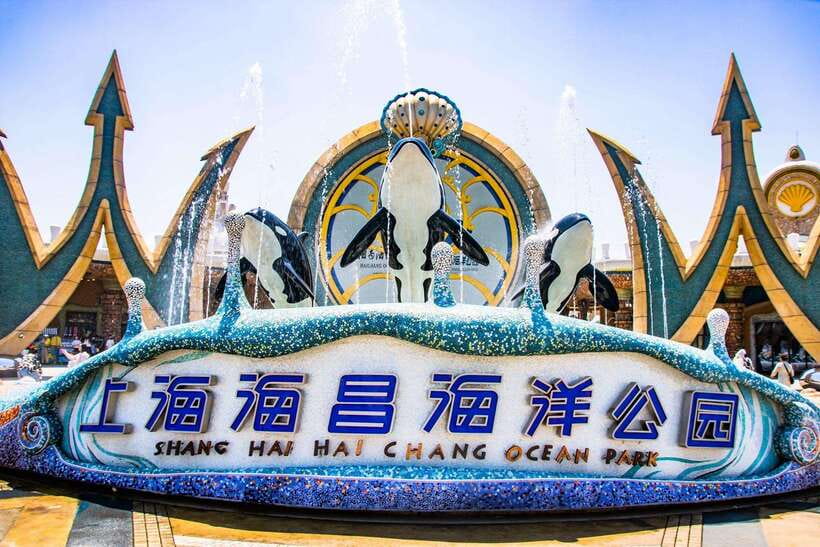 Shanghai: Haichang Ocean Park Adult Ticket - Key Things You’ll Notice at Haichang Ocean Park