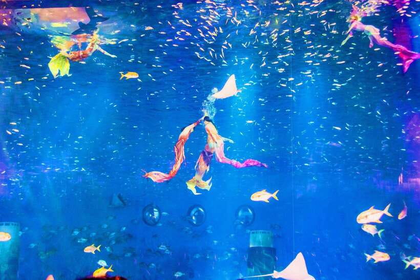 Shanghai: Haichang Ocean Park Adult Ticket - The 20 Yuan Meal Voucher: Worth It, If You Use It Correctly