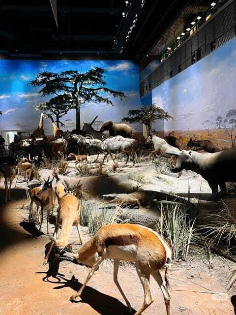 Shanghai: Natural Museum tickets with guide(optional) - The live breeding area: nature you can watch, not just read