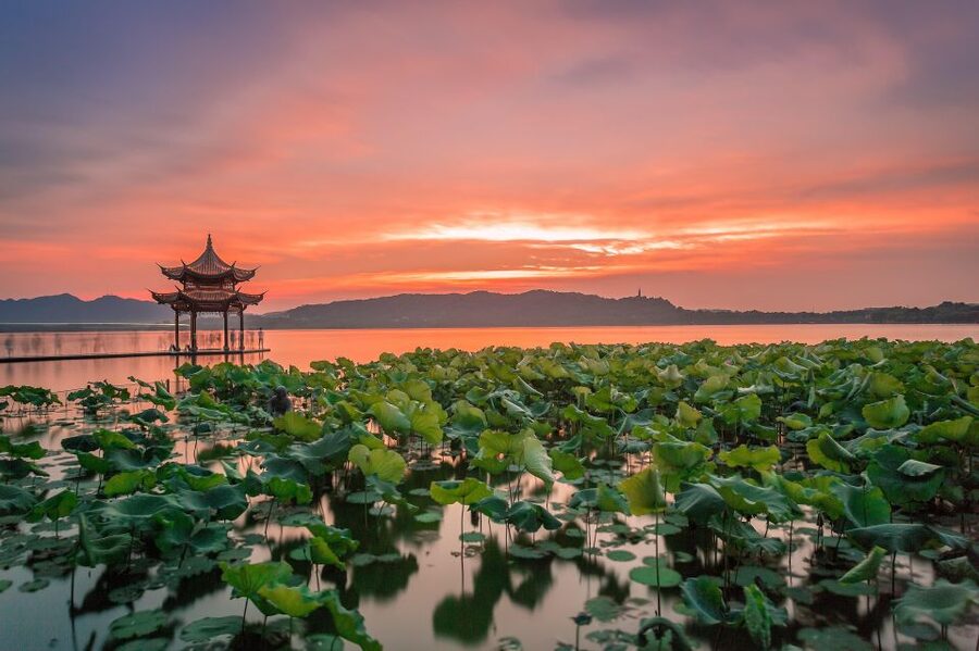 Shanghai: Private Guided Tour to Hangzhou by Bullet Train - Why West Lake, Longjing Tea, and Lingyin Temple Make This Day Trip Add Up