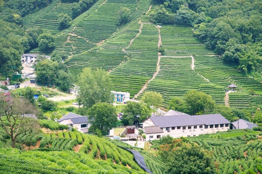 Shanghai: Private Guided Tour to Hangzhou by Bullet Train - Bullet Train Timing From Shanghai: How You Keep Your Day Sane