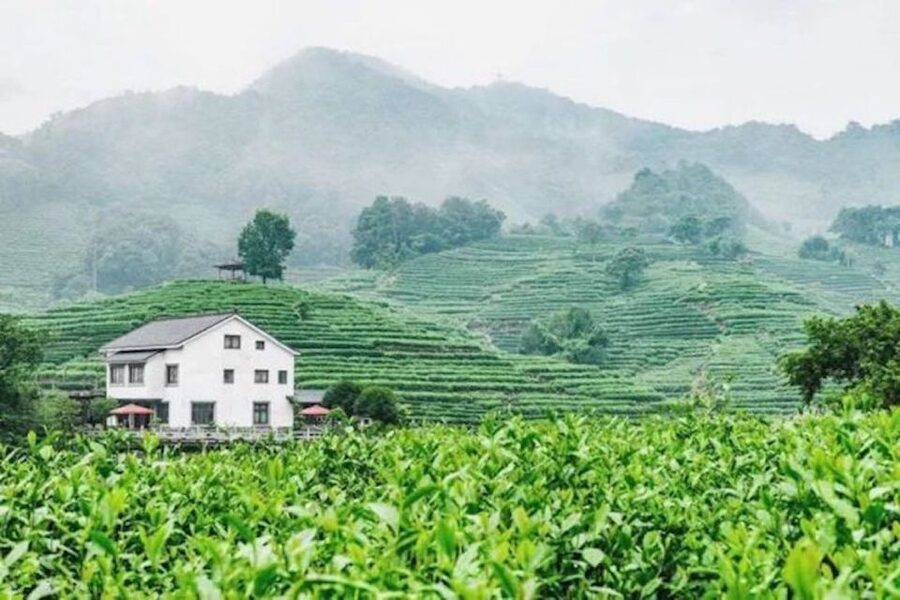 Shanghai: Private Guided Tour to Hangzhou by Bullet Train - Should You Book This Shanghai to Hangzhou Bullet Train Tour?