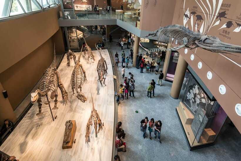 Shanghai: Private Tour of the Shanghai Museum - Who should book this Shanghai Museum private tour