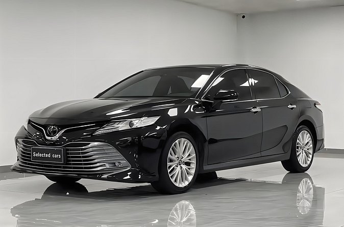 Shanghai: Private Transfers to/from Shanghai Pudong Airport(PVG) - Comfort in motion: sedans, minivans, minibuses, and A/C