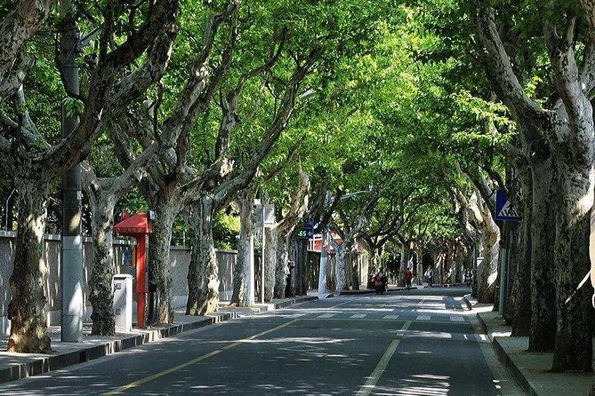 Shanghai Propaganda and History Walking Tour - Getting oriented: the Jiangsu Road start makes it easy