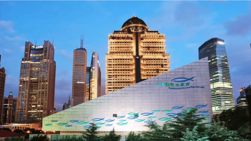 Shanghai: The Marine Wonders at Shanghai Ocean Aquarium - A one-day plan built around the underwater tunnel