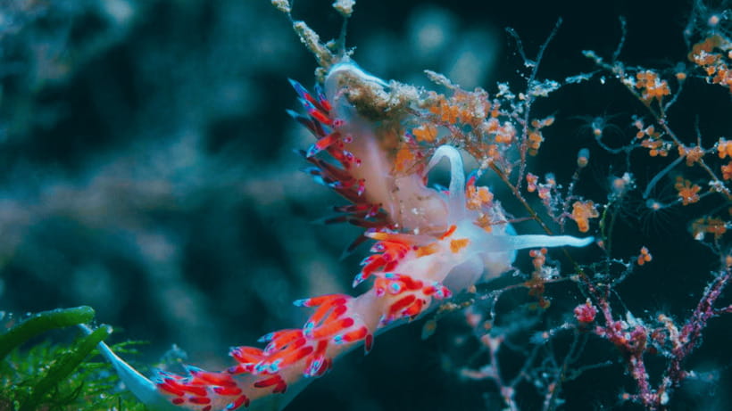 Shanghai: The Marine Wonders at Shanghai Ocean Aquarium - Conservation learning that stays practical, not preachy