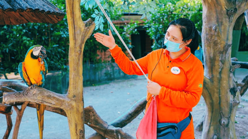 Shanghai: Wild Animal Park Ticket - Getting Around and Staying Comfortable Inside the Park
