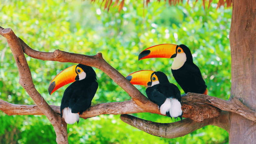 Shanghai: Wild Animal Park Ticket - Timing, Tickets, and the Passport Detail You Should Not Ignore