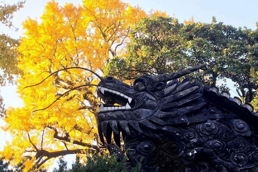 Shanghai: Yu Garden and City God Temple Walking Tour - Price and value: is $60 a smart buy?