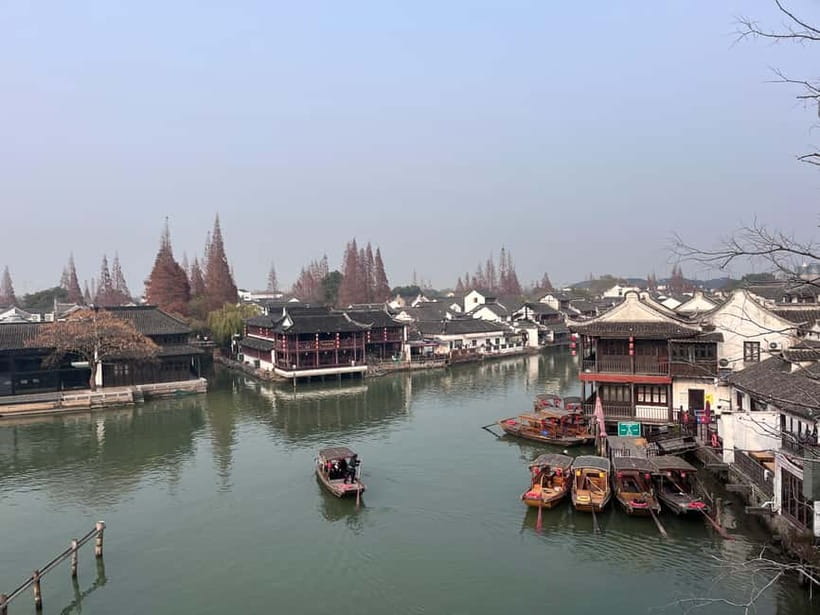 Shanghai: Zhujiajiao Water Town with Calligraphy Experience - Food in Zhujiajiao: Local Dishes, Street Bites, and What to Ask For