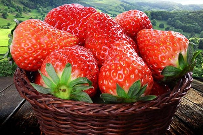 Zhujiajiao Water Town Private Tour with Local Farm Visit and Fruit Picking - Price and value: $170 for a private day with meals and access